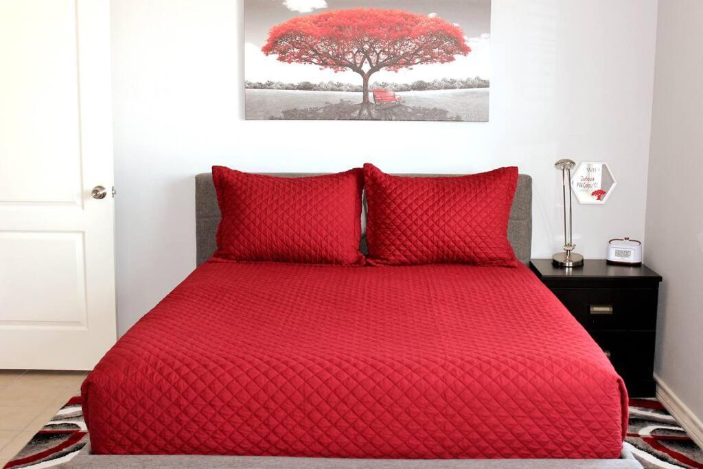 Spacious Home, Short Walk To Beach, Heated Pool! Corpus Christi Eksteriør billede